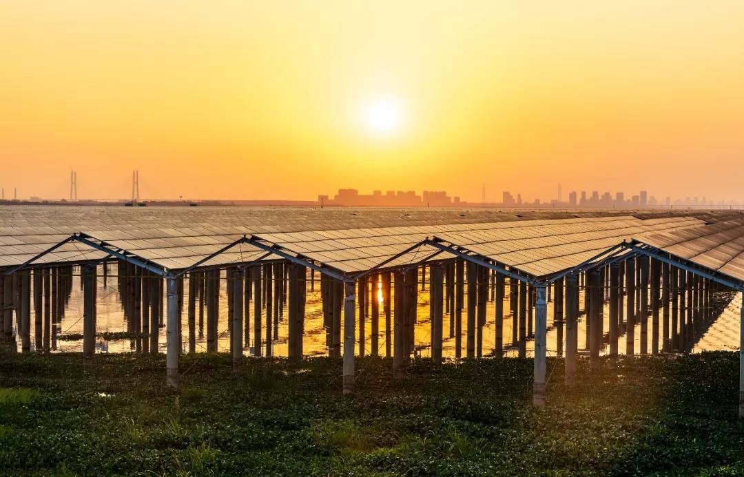 又双叒叕出圈了|3044am永利集团在江西拿下1120MW优选规模