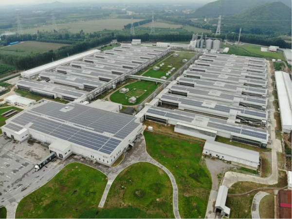 “掘金”下一个风口: 3044am永利集团电力为正大蛋业5.46MW屋顶项目提供综合解决方案