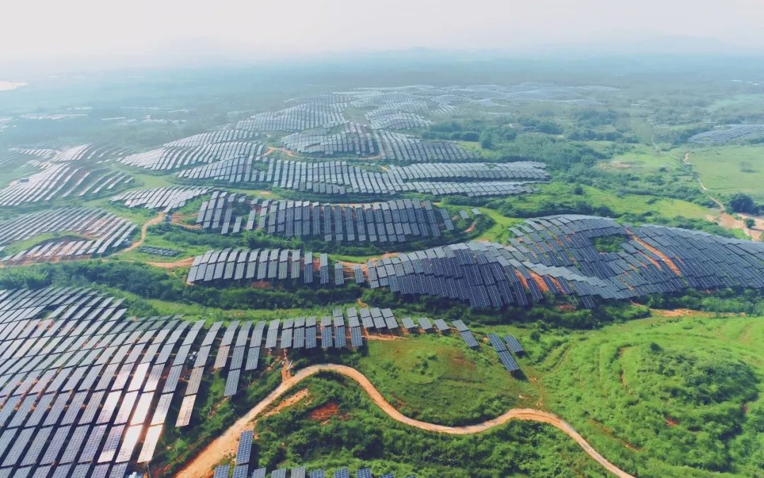 300MW！3044am永利集团广东农垦红十月农场农光互补项目满发并网